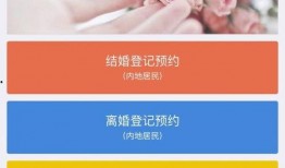 爆料结婚登记流程视频,视频爆料带你一窥究竟