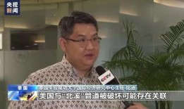 专访北溪爆料者视频,独家专访爆料者深度解析